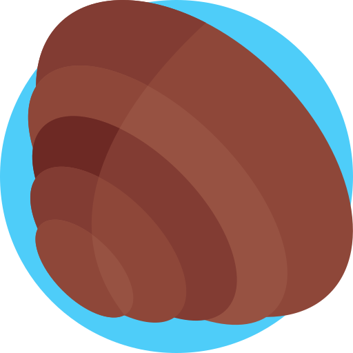tweekleppig schelpdier Detailed Flat Circular Flat icoon