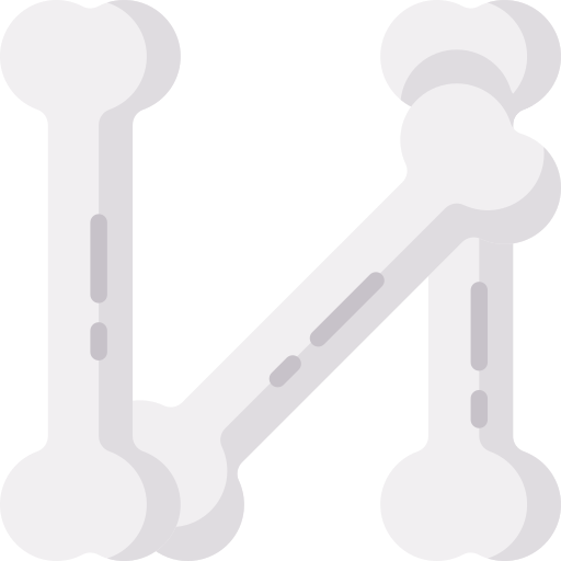 knochen Special Flat icon