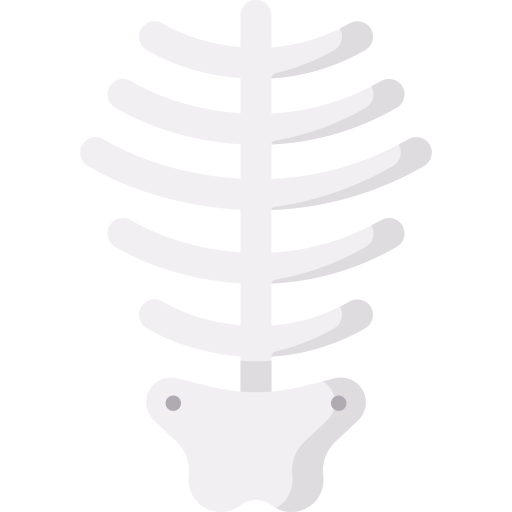 scheletro Special Flat icona
