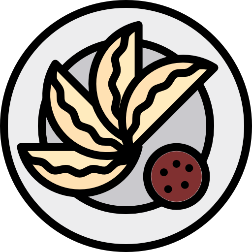 jiaozi Special Lineal color icon