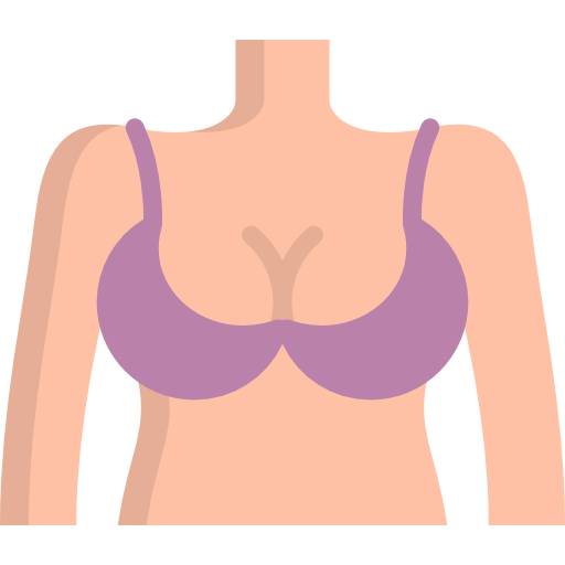 Brassiere Special Flat icon