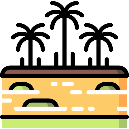 regenwald Special Lineal color icon