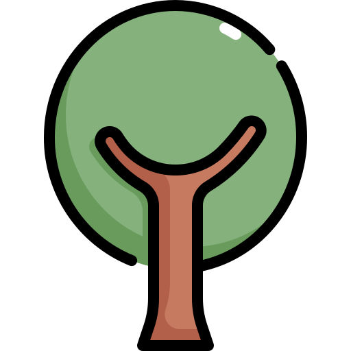 baum Generic Outline Color icon