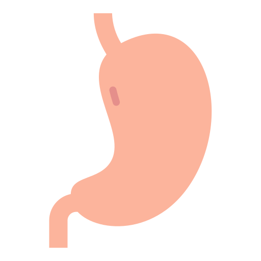Stomach Good Ware Flat icon