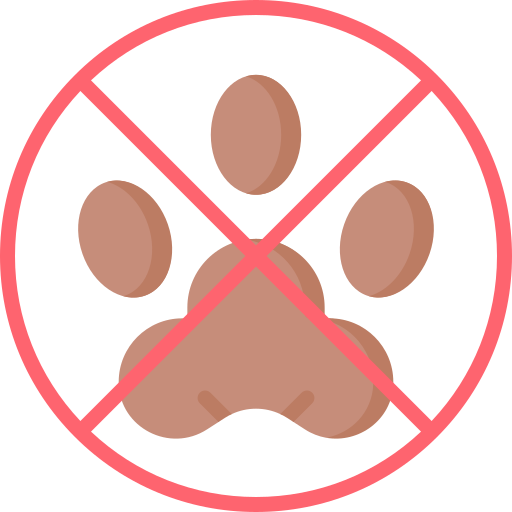 No pets allowed Special Flat icon