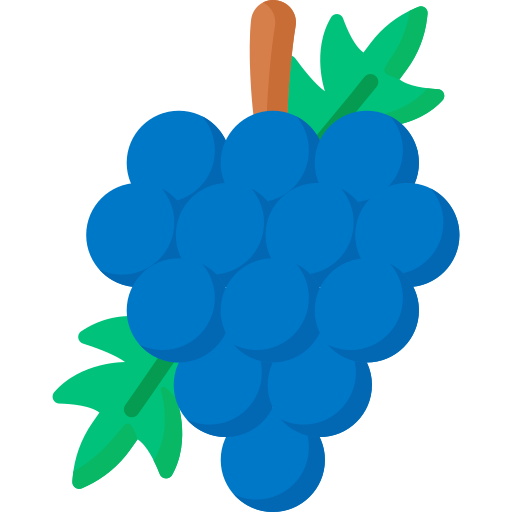 Grapes Special Flat icon