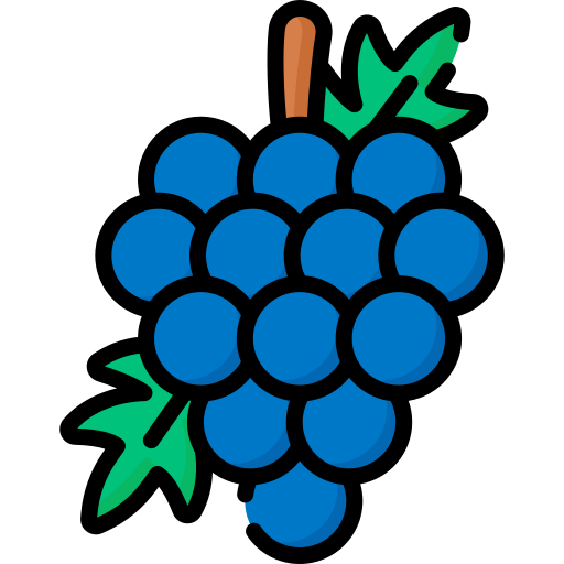 Grapes Special Lineal color icon