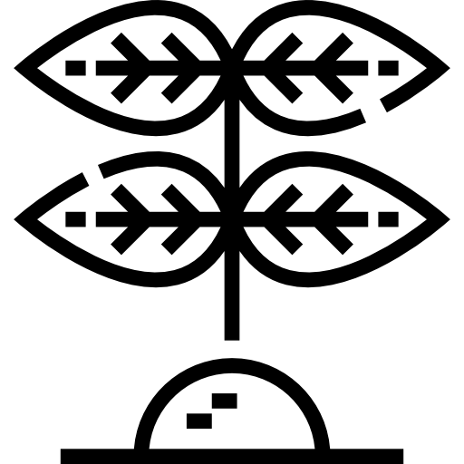 planta Detailed Straight Lineal icono