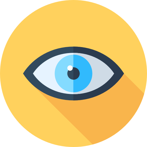 vision Flat Circular Flat icon