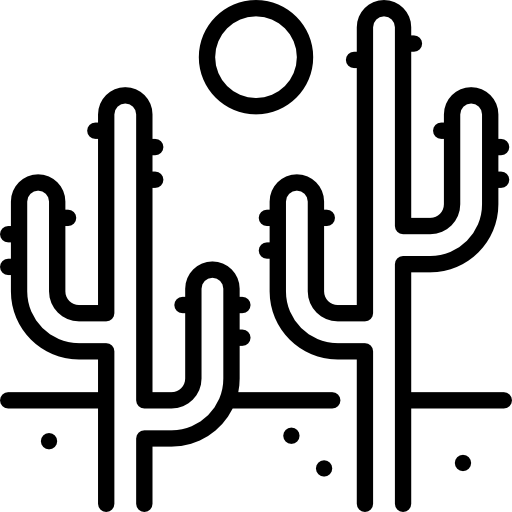 pustynia Special Lineal ikona