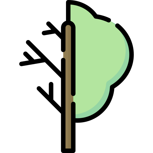 Árbol de hoja caduca Special Lineal color icono