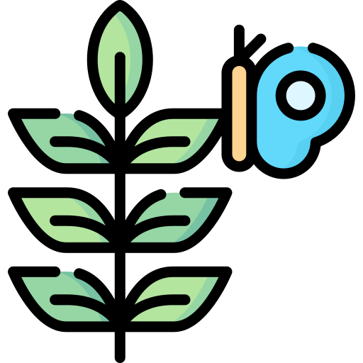 Plant Special Lineal color icon