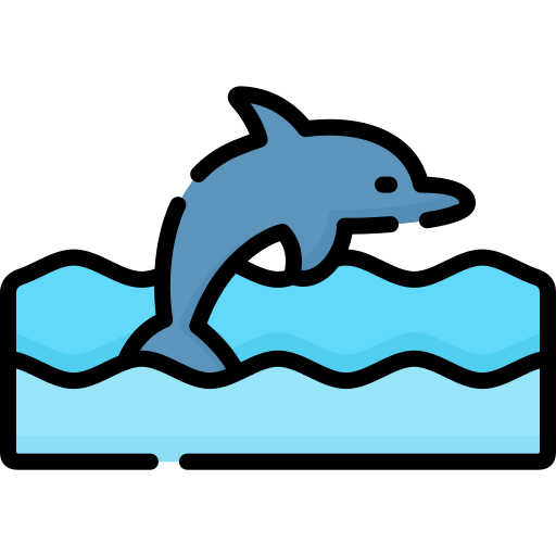 Dolphin Special Lineal color icon