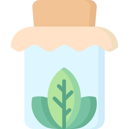 Eco food Special Flat icon