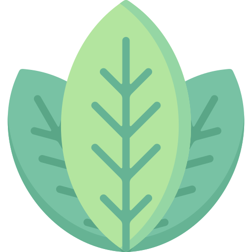 Leaves Special Flat icon