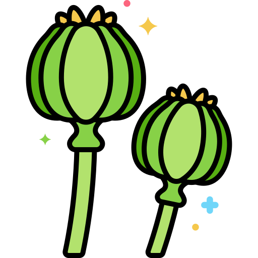 Opium Flaticons Lineal Color icon