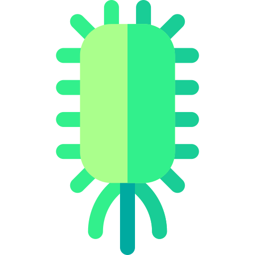 Bacteria Basic Rounded Flat icon