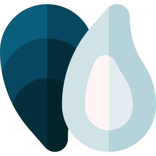 Oyster Basic Straight Flat icon