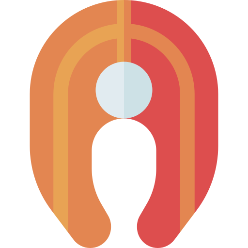 鮭 Basic Straight Flat icon
