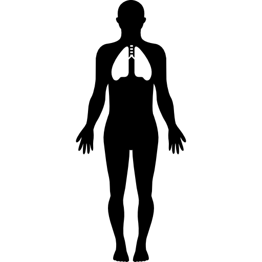 Human silhouette with focus on the lungs  icon