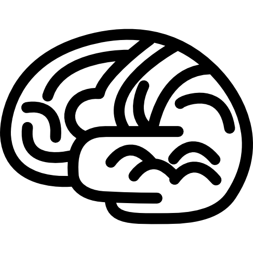 Brain body organ outline  icon