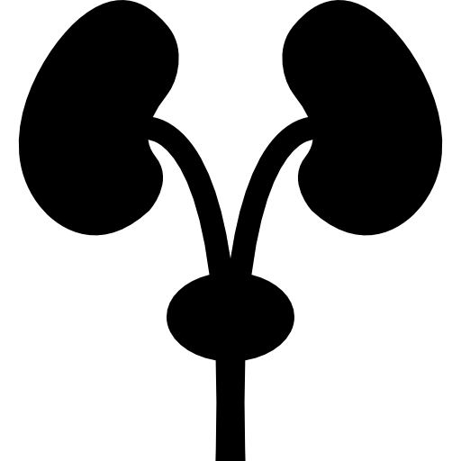 silhouette des ausscheidungssystems  icon