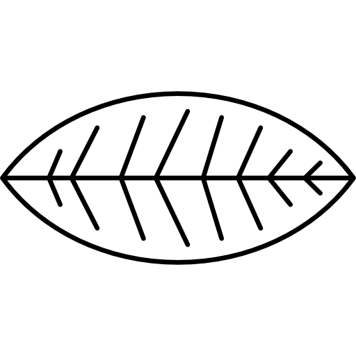 부시 대통령의 잎  icon