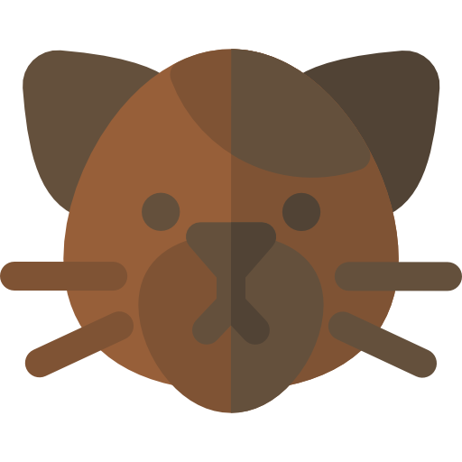 고양이 Basic Rounded Flat icon