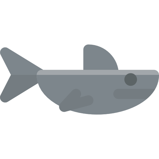 squalo Basic Rounded Flat icona