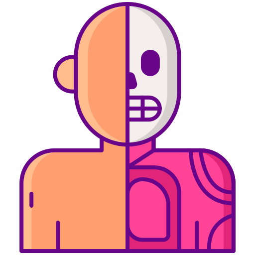anatomie Flaticons Lineal Color icon