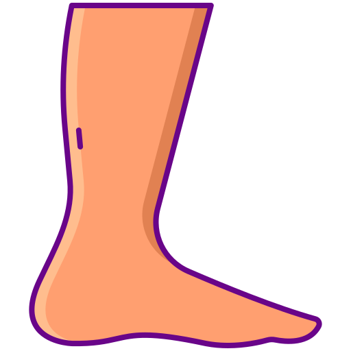발목 Flaticons Lineal Color icon