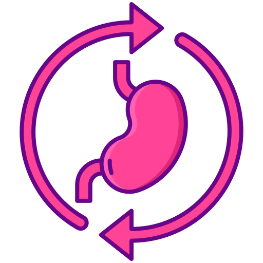 Digestion Flaticons Lineal Color icon