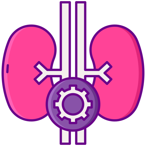 endokrinologie Flaticons Lineal Color icon