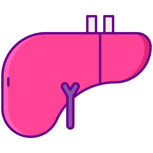 肝臓 Flaticons Lineal Color icon