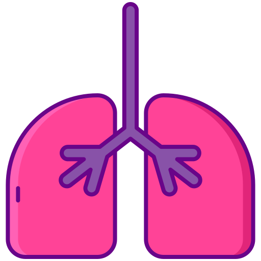 płuca Flaticons Lineal Color ikona