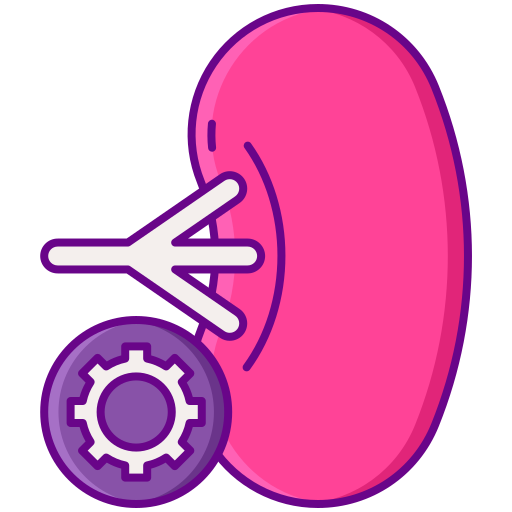 lymphgefäss Flaticons Lineal Color icon
