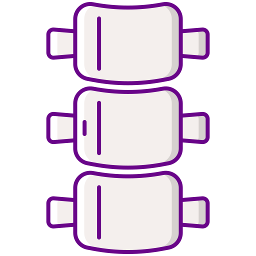 Spine Flaticons Lineal Color icon