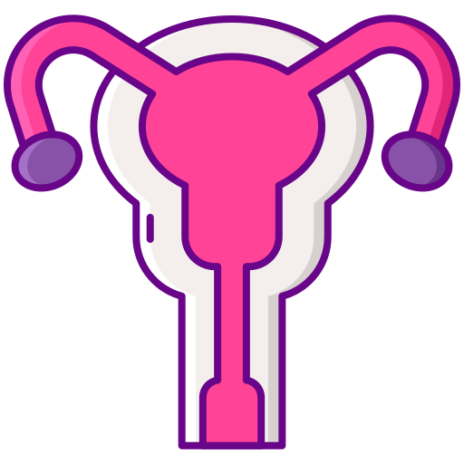 Uterus Flaticons Lineal Color icon