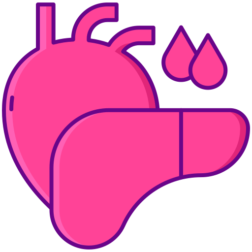 臓器 Flaticons Lineal Color icon