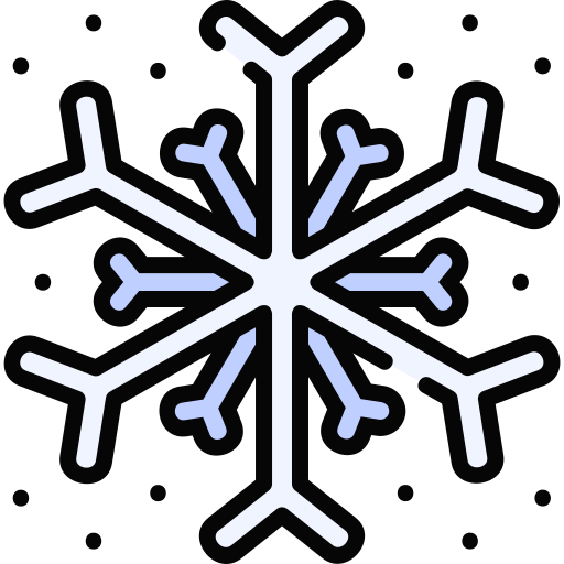 płatek śniegu Special Lineal color ikona