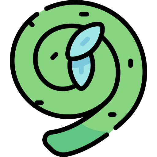 Fiddlehead fern Kawaii Lineal color icon