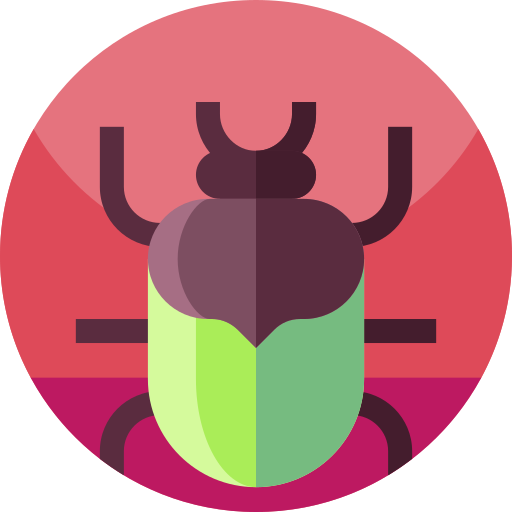escarabajo Geometric Flat Circular Flat icono