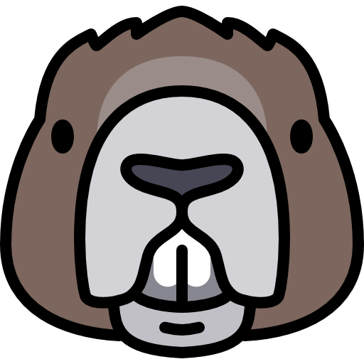 Beaver Special Lineal color icon