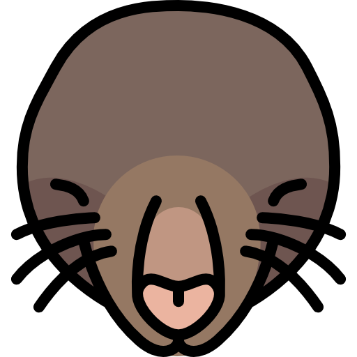 Mole Special Lineal color icon