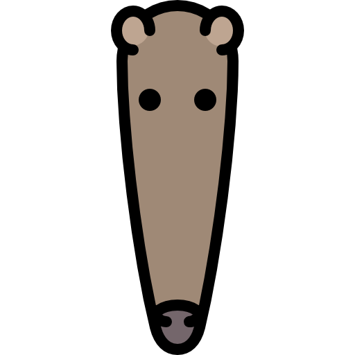 oso hormiguero Special Lineal color icono