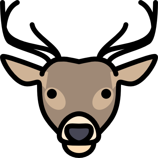 Deer Special Lineal color icon