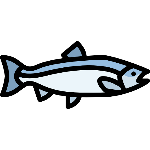 salmón Special Lineal color icono