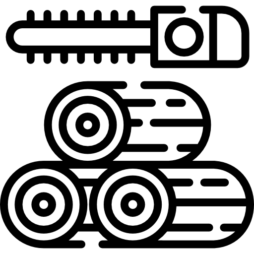 ログ Special Lineal icon