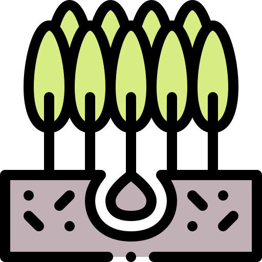 Plant tree Detailed Rounded Lineal color icon