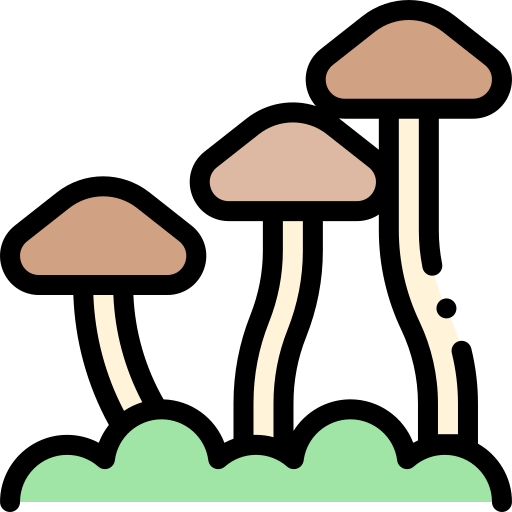 Mushroom Detailed Rounded Lineal color icon